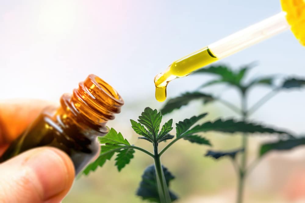 Debunking Common Myths About CBD Oil